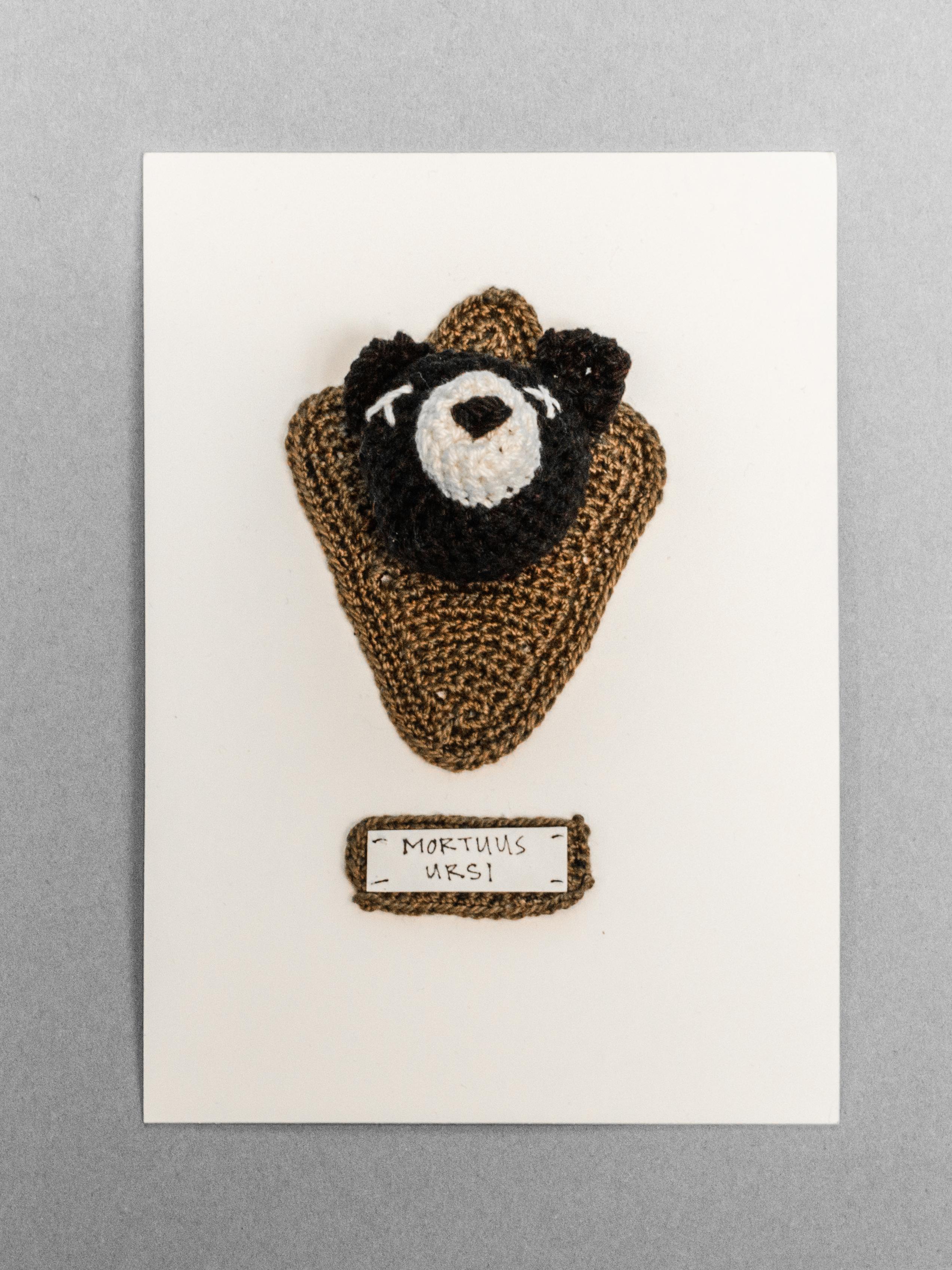 crochet bear head pasted to a white backing