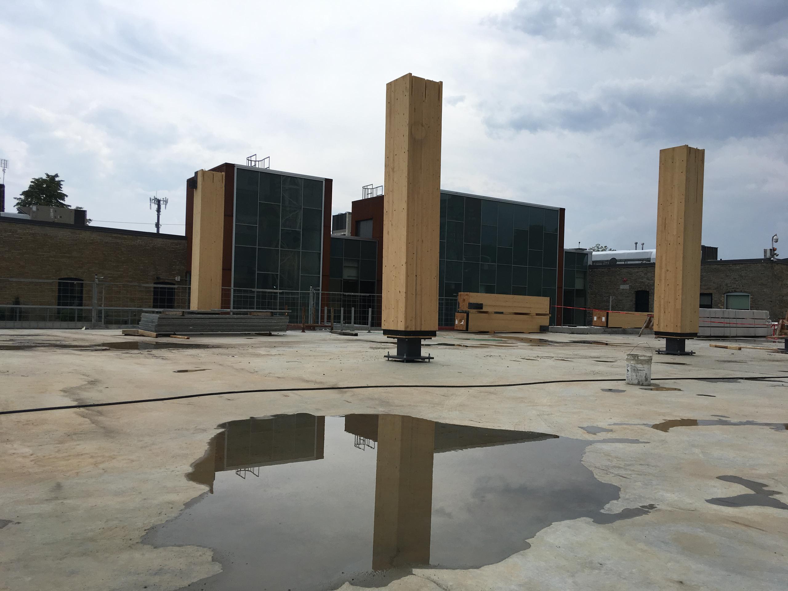 glulam columns, some installed upright and some laid flat, reflected in a puddle in the foreground and with 60 Atlantic visible in the background