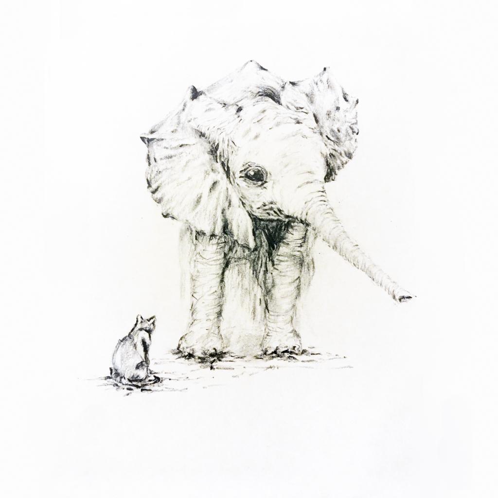 pencil sketch of an elephant and cat